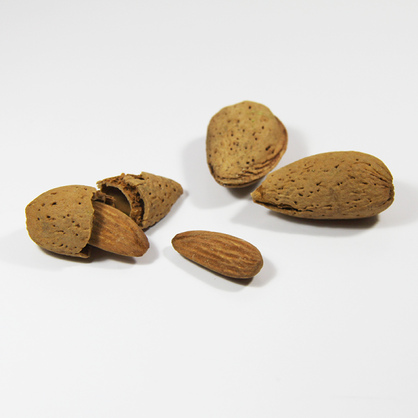 Amandes en coques bio