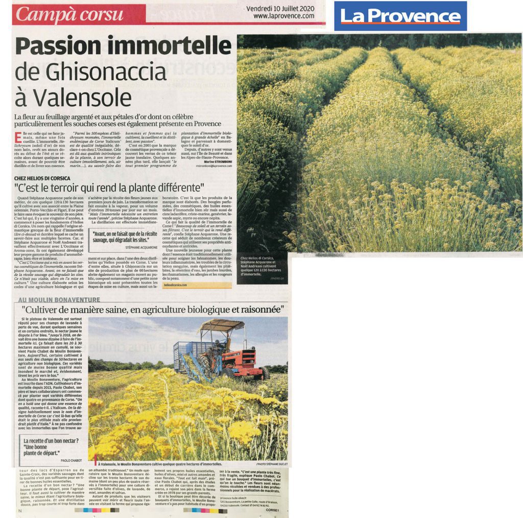 Immortelle in der Presse Provence
